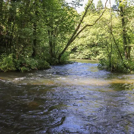 The Beeches